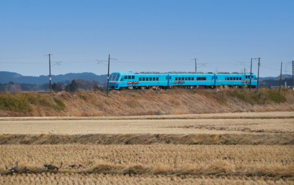 花音-KANON-について