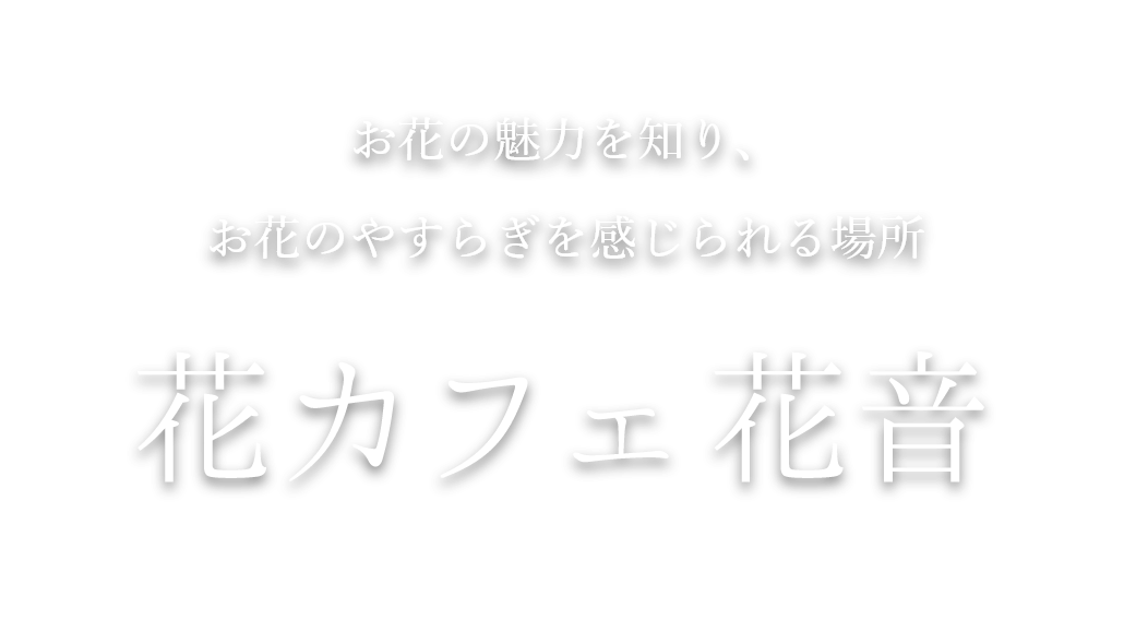 花音KANON